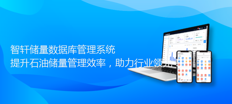 储量数据库管理系统